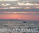 House "Nina"
