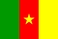 国旗, 喀麦隆