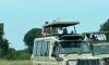 Uganda Gorilla Trekking and wildlife safari
